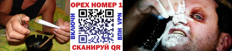 Cocaine Эквадор Шлиссельбург